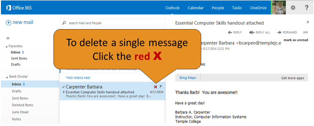 click the red x to delete one message
