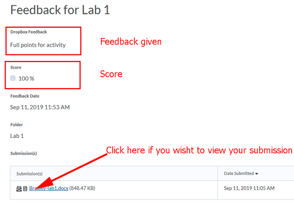 D2L Dropbox Submit