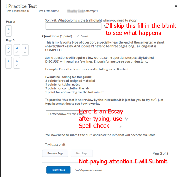 D2L quiz types