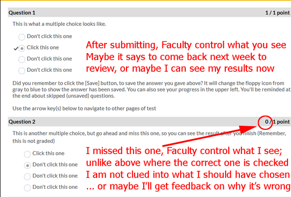 D2L quiz types