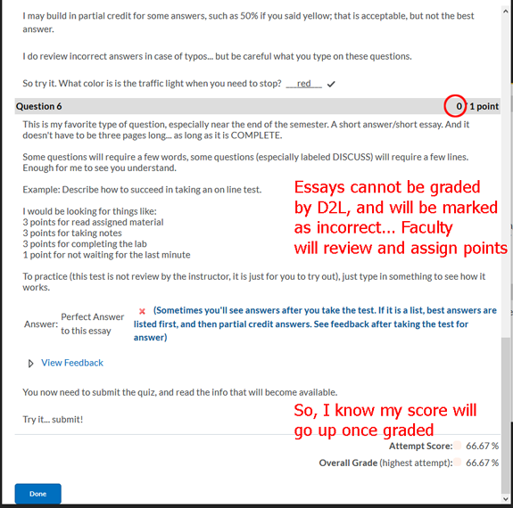 D2L quiz types