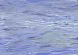Blue water 2