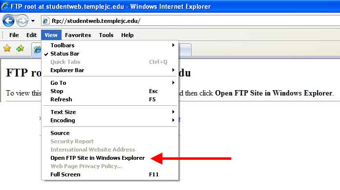IE 7 ftp screen shot