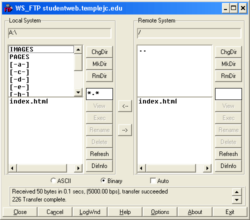 wsftp brwsing