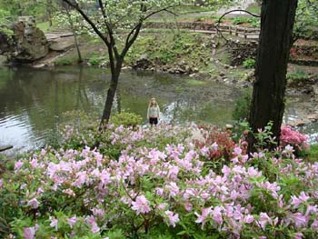Little Rock Images