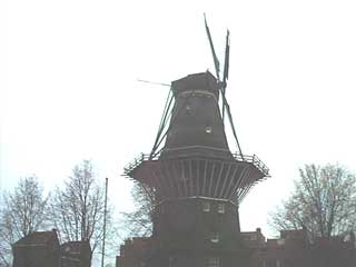 Amsterdam Images