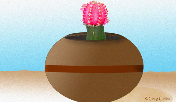 Cacti