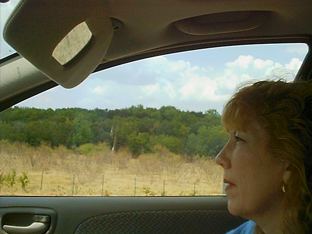 Drive home