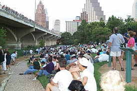 Austin bat flight