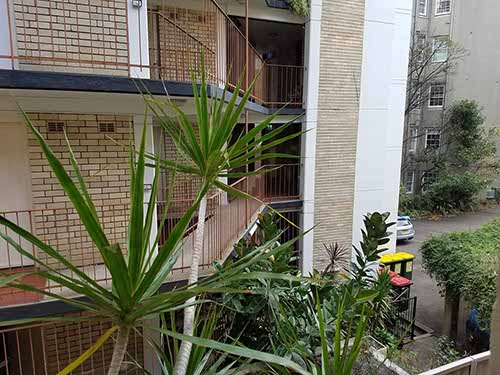 Sydney Hotel 59