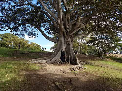 Sydney sights