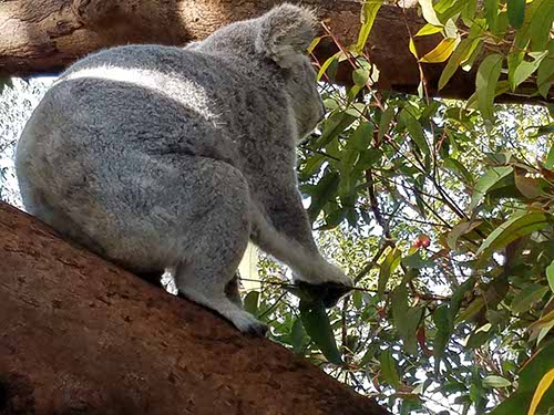 Sydney sights