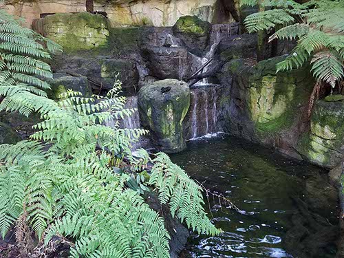 Sydney sights