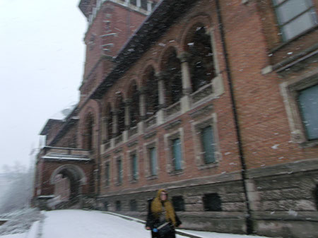 Peasant Museum
