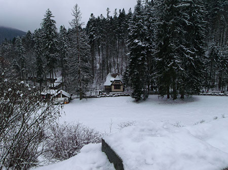 Peleș