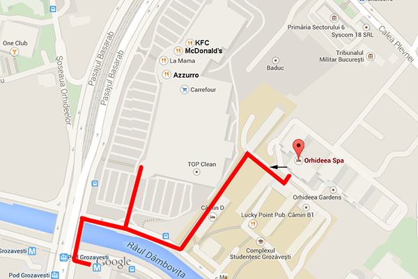 Orhiddea area