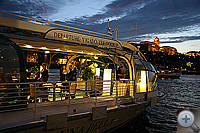 Legenda cruise