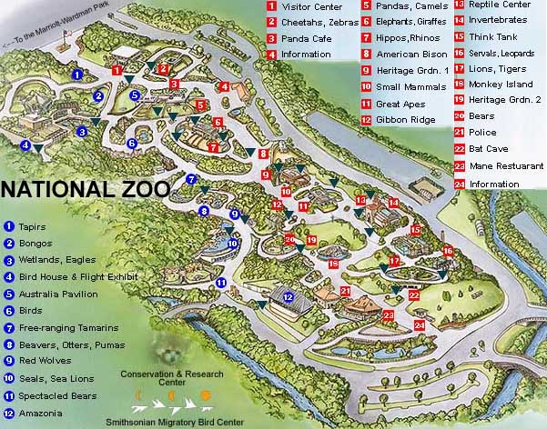 Washington, DC: Zoo