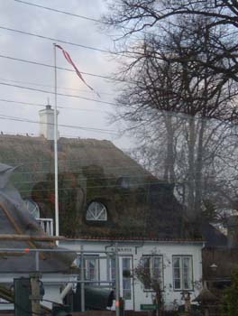 Thatched Roof