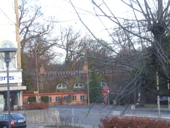 Thatched roof