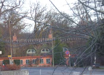 Thatched roof