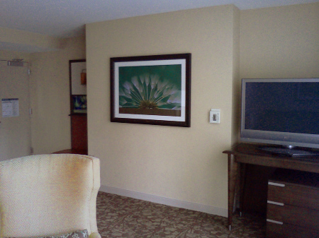 Denver Sheraton Suite
