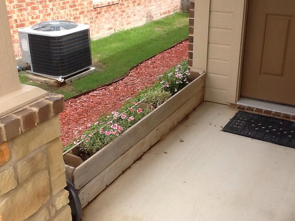 Front yard