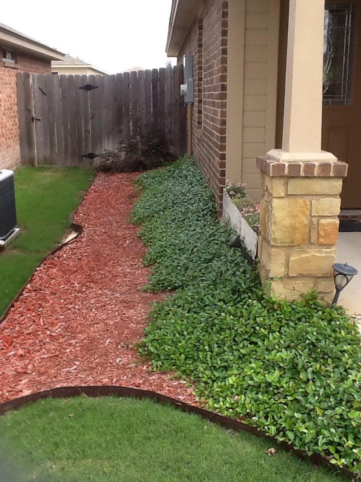 Front yard