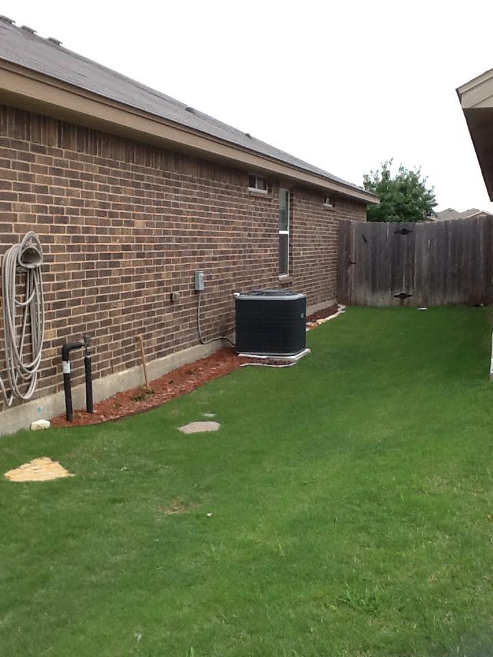 Front yard