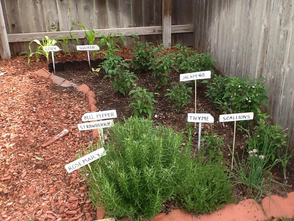 Big Garden