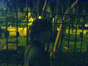 trip images