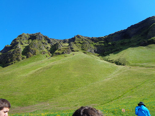 South Coast Tour Reynisfjara Black Sand Beach