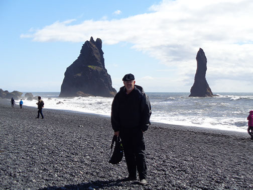 South Coast Tour Reynisfjara Black Sand Beach, basalt formations, and cave