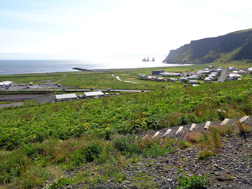 South Coast Tour Vik