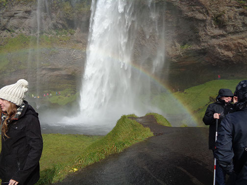 South Coast Tour Seljalandsfoss Waterfall