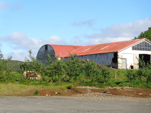 Golden Circle Tour Efstidalur