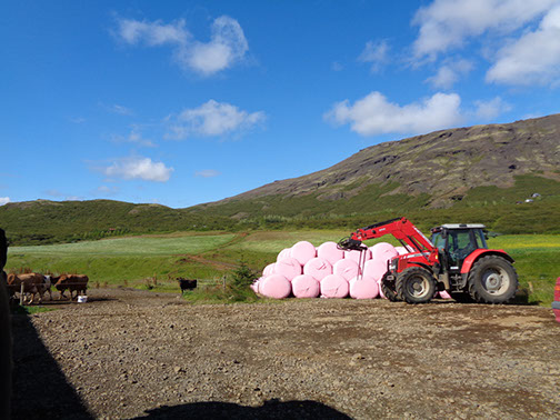 Golden Circle Tour Efstidalur