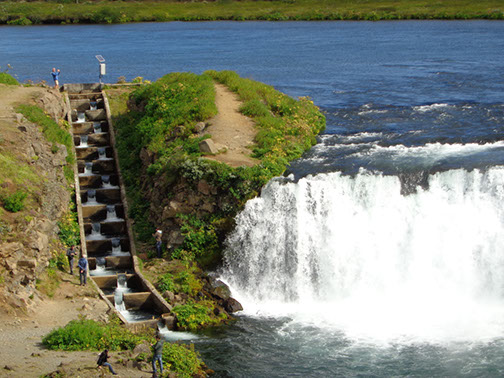 Golden Circle Tour Foxi