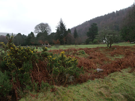 Glendalough, Co. Wilklow Ireland