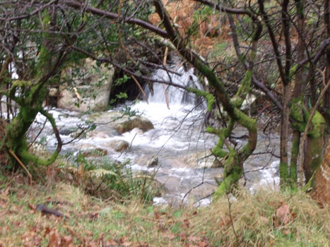 Glendalough, Co. Wilklow Ireland