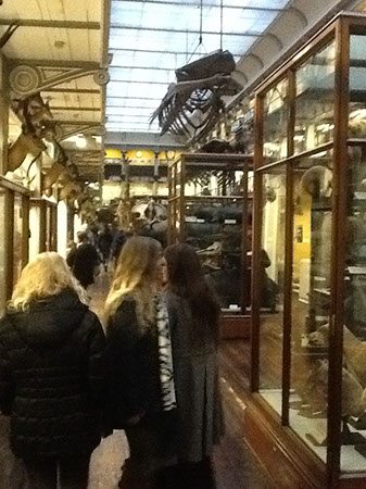 Natrual History Museum