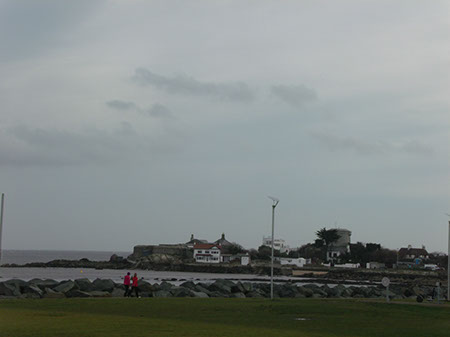 Southcoast and gardens tour