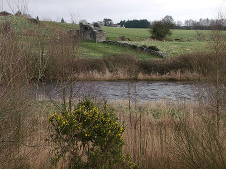 Trim Castle
