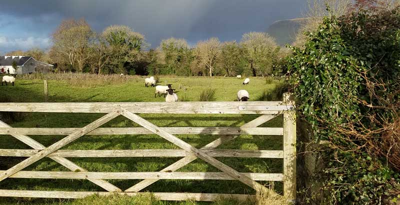 Drumcliffe, near Sligo