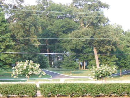 Graceland