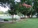 DSCF1365
