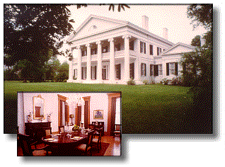 Plantation
