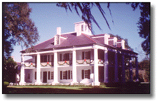 Plantation