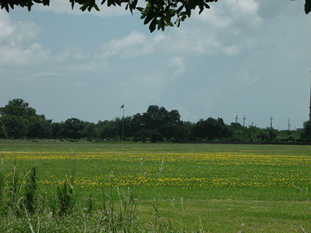 Battle of New Orleans site