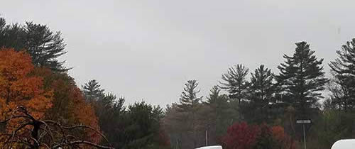 Foliage in CT